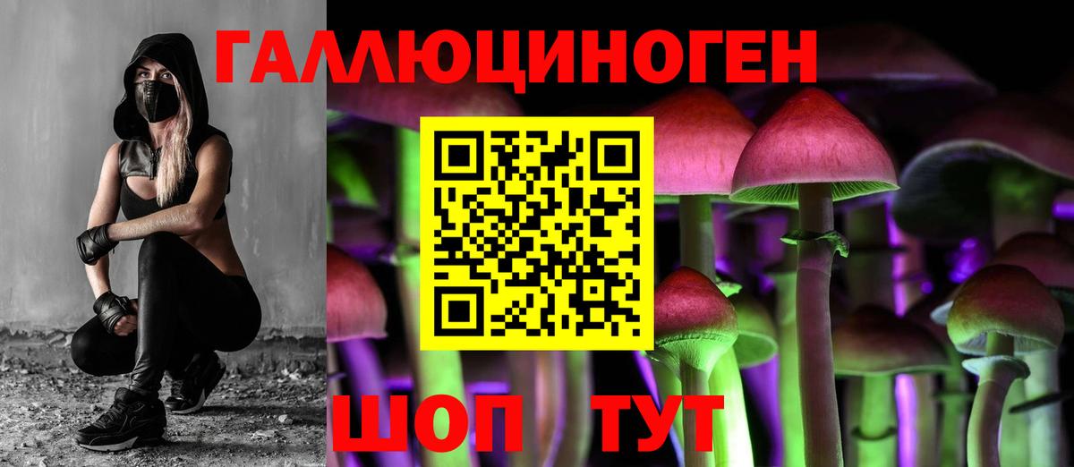Галлюциногенные грибы Cubensis Ртищево